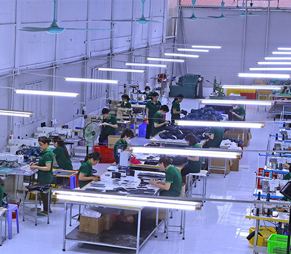 Quy trình làm việc
